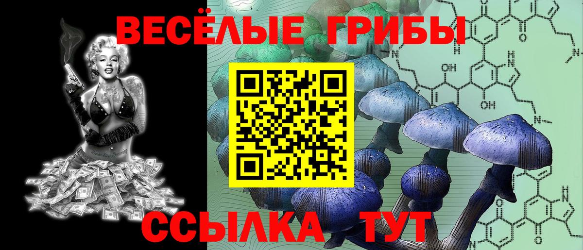Галлюциногенные грибы GOLDEN TEACHER Киселёвск