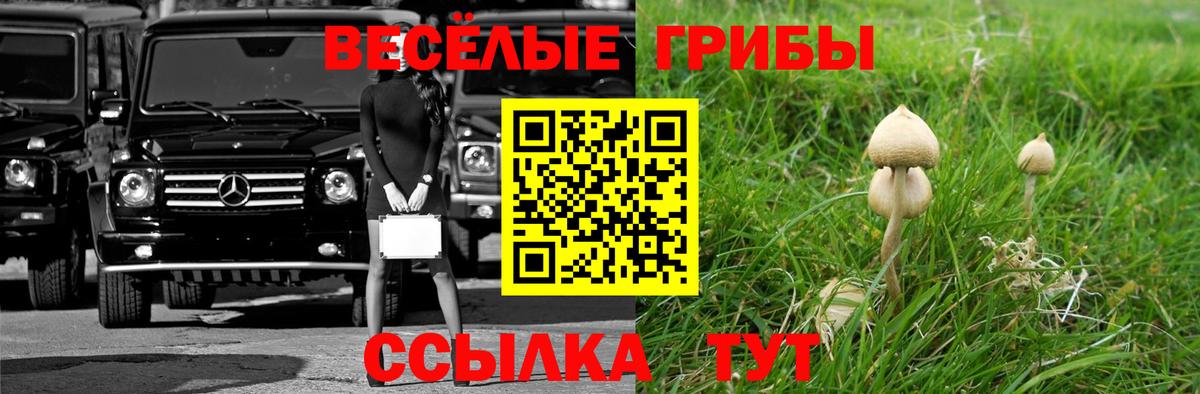 Галлюциногенные грибы MAGIC MUSHROOMS  Вход с VPN  Киселёвск 